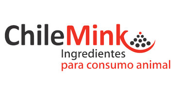 Cliente 3